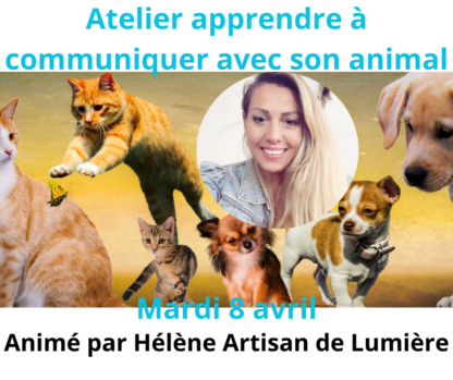 Atelier apprendre à communiquer avec son animal