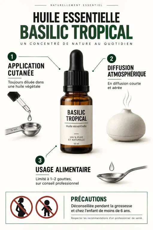 Huile essentielle de basilic tropical et ses précautions d'usage en application cutanée, diffusion et alimentation