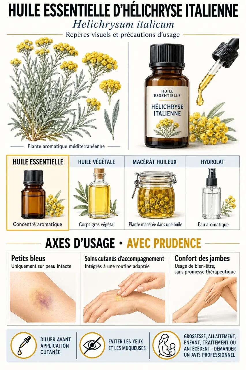 Huile essentielle d’hélichryse italienne : usages, distinction des produits et précautions d’emploi